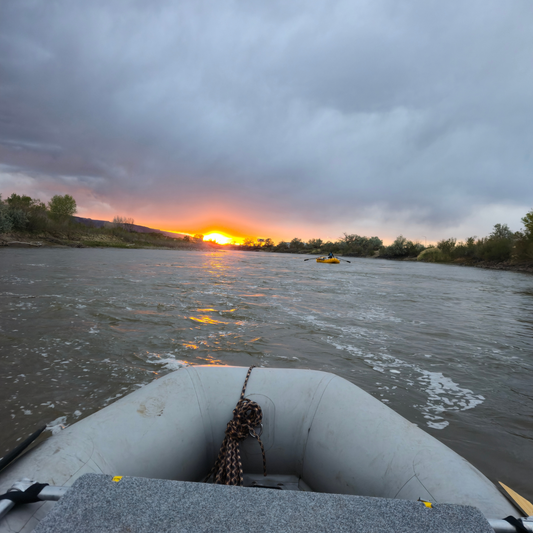 Calm Before the Storm