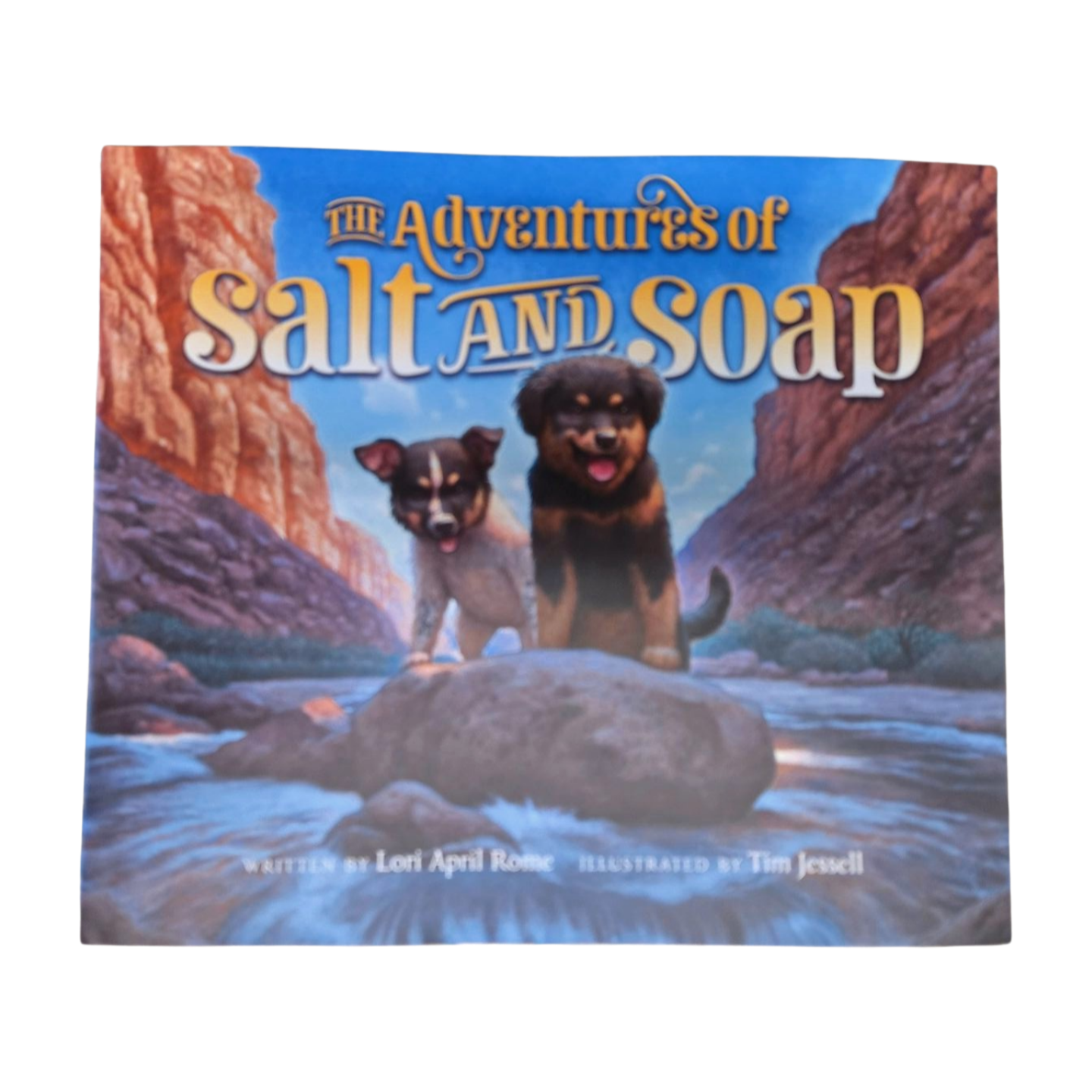 The Adventures of Salt and Soap