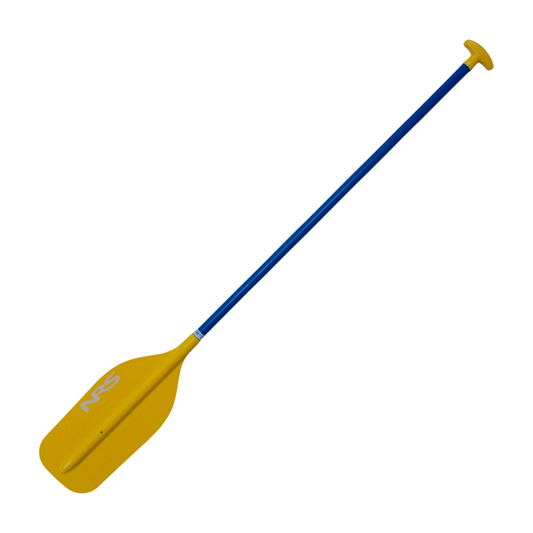 PTE Paddle