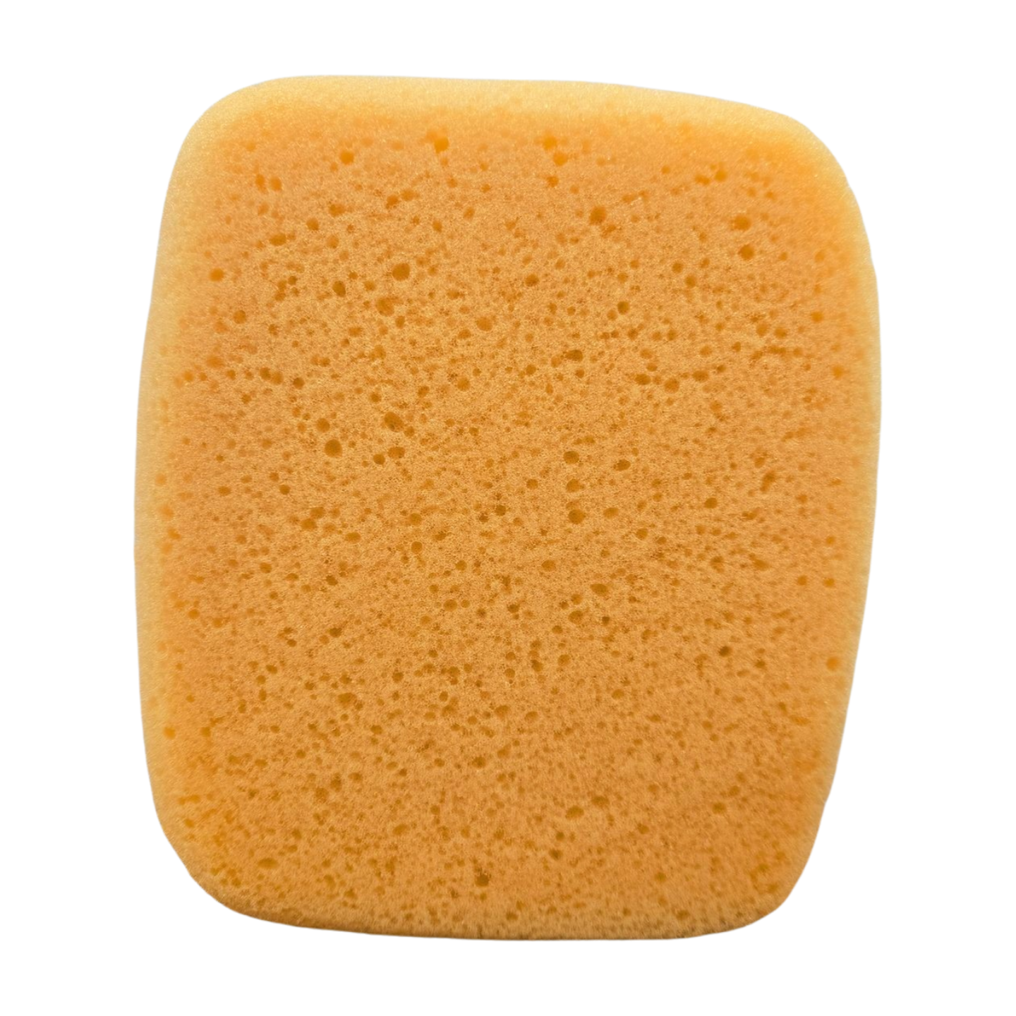 Sponge