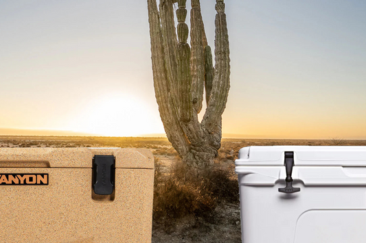 Yeti Tundra Vs. Canyon Outfitter