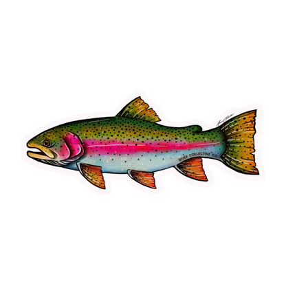River Collective Fish Stickers