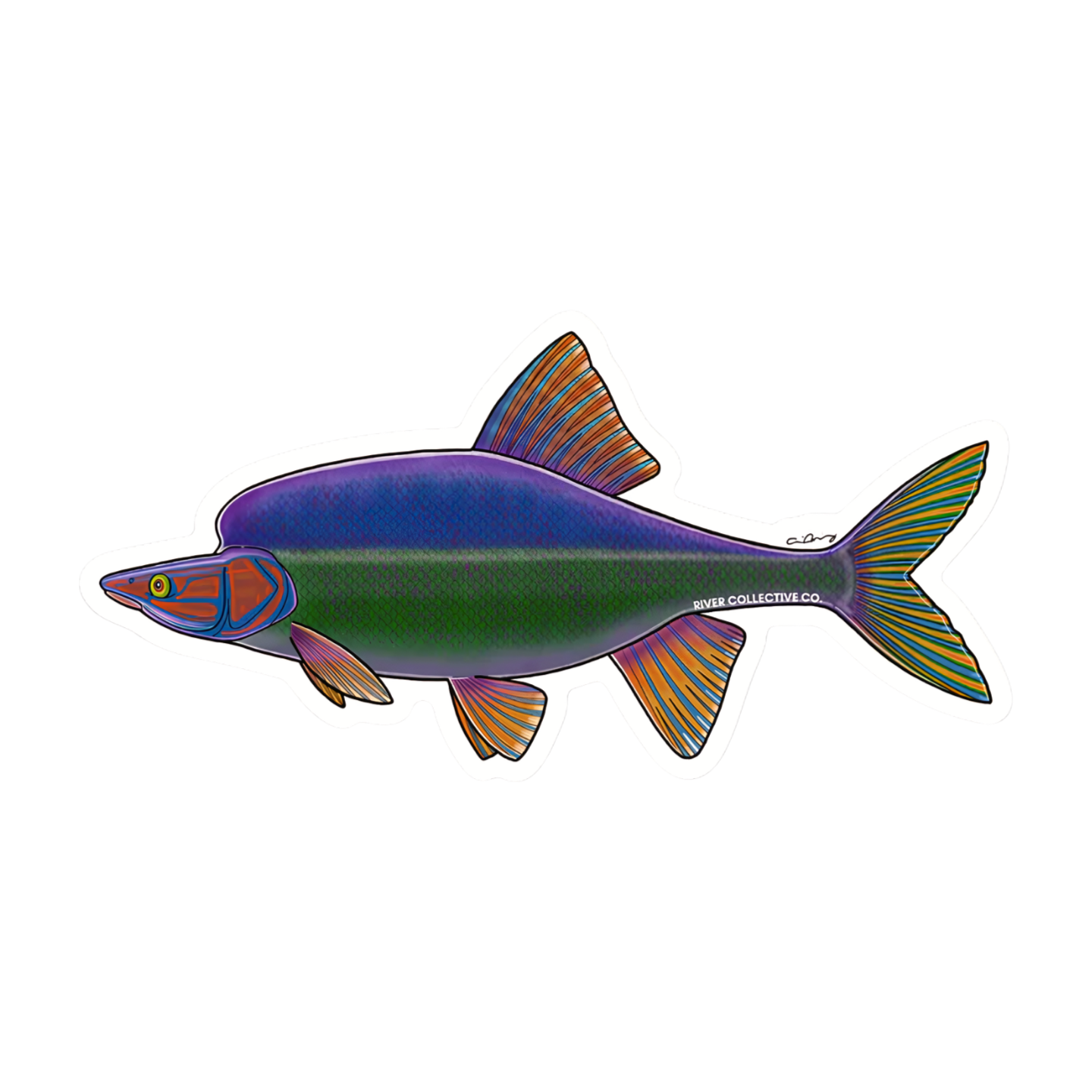 River Collective Fish Stickers