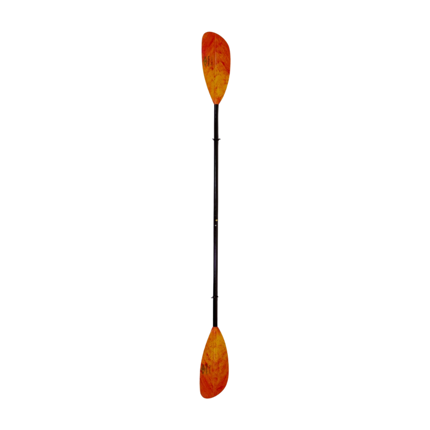 Kayak paddle Rental