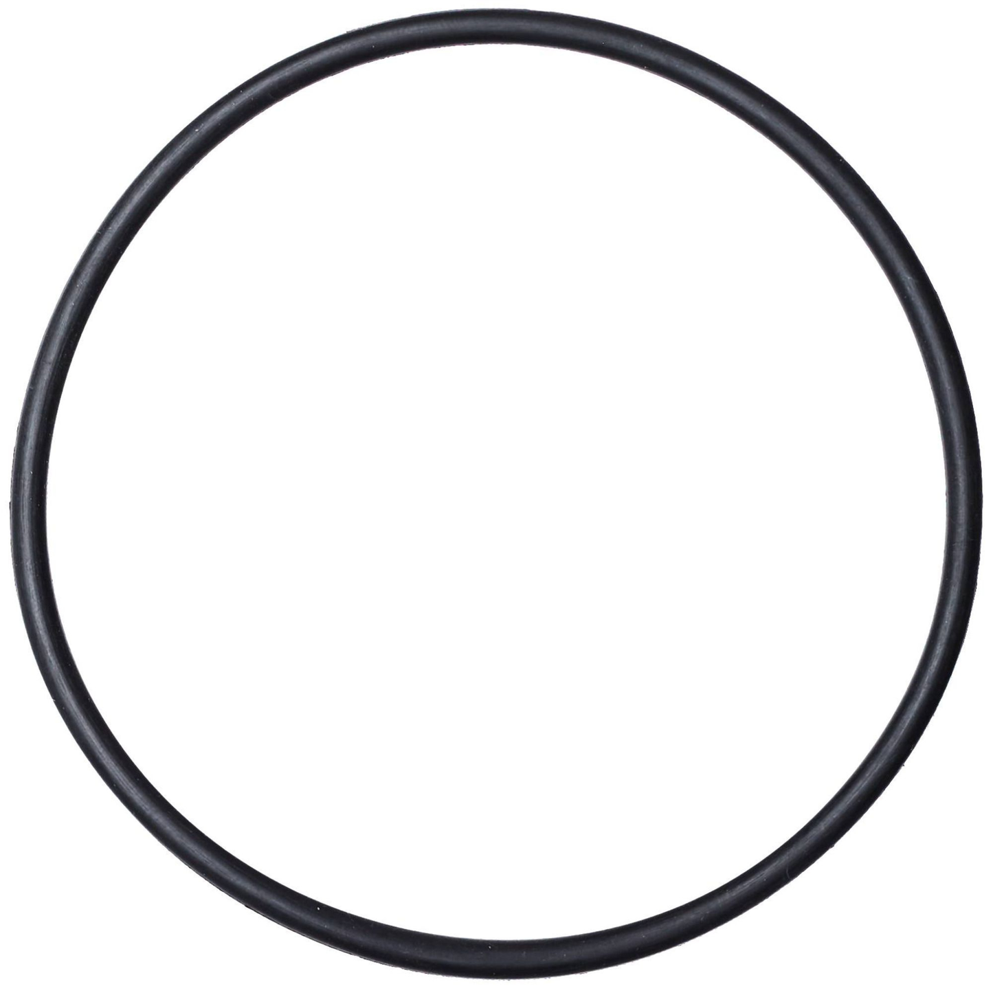 NRS Super 2 Pump Replacement Piston O-Ring
