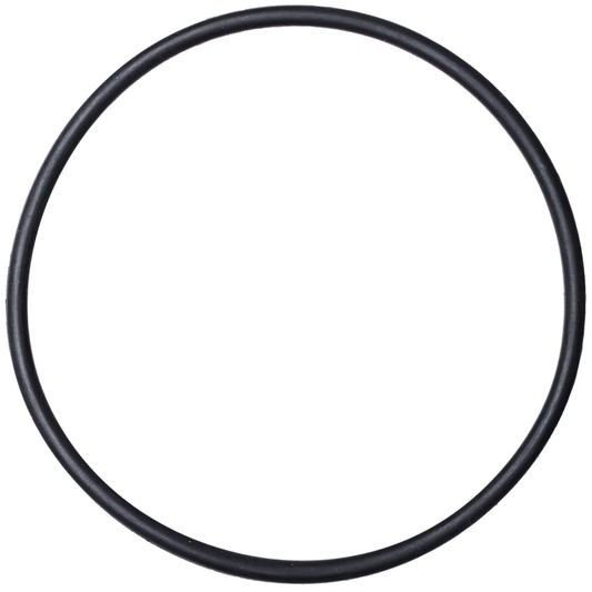 NRS Super 2 Pump Replacement Piston O-Ring