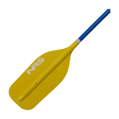 PTE Paddle