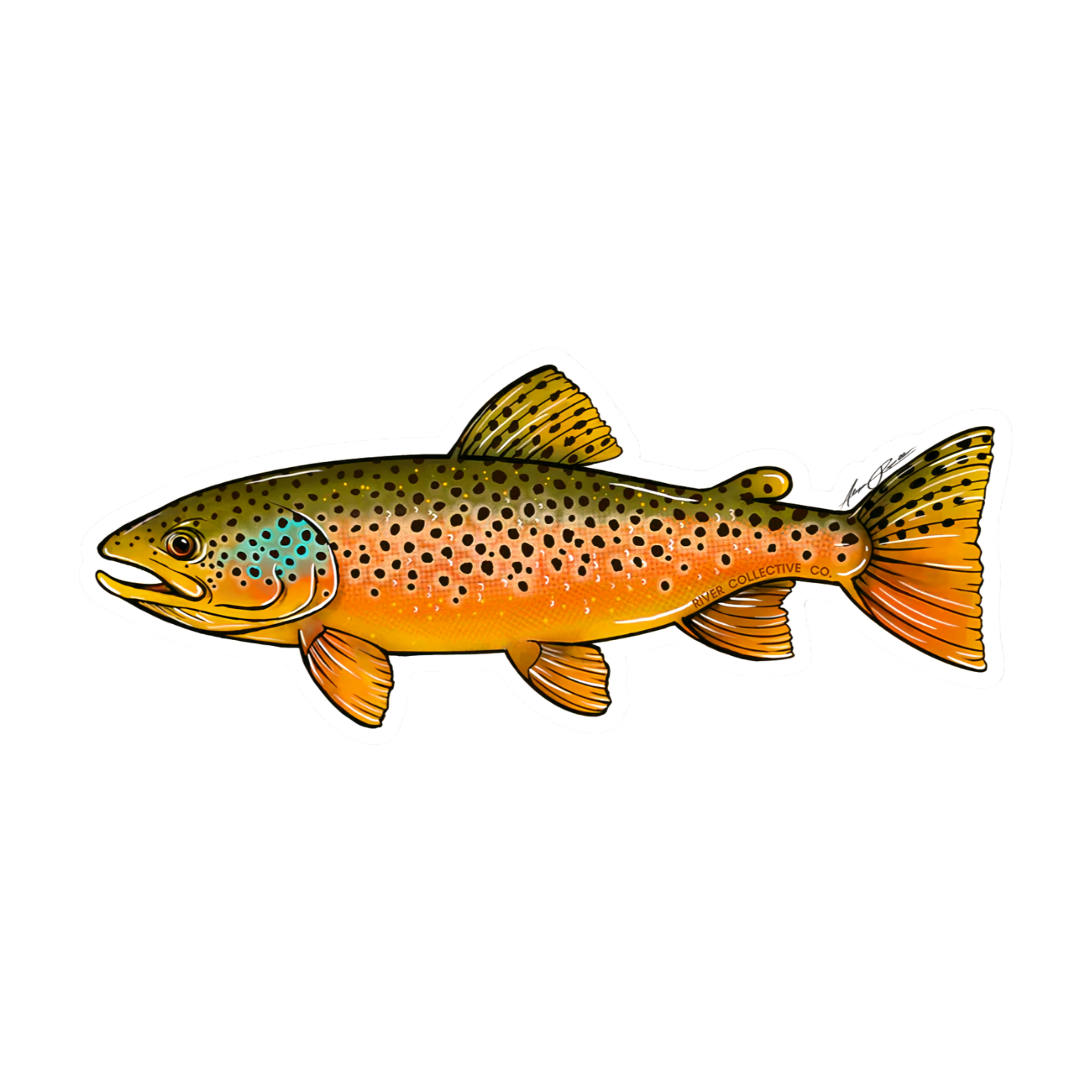 River Collective Fish Stickers