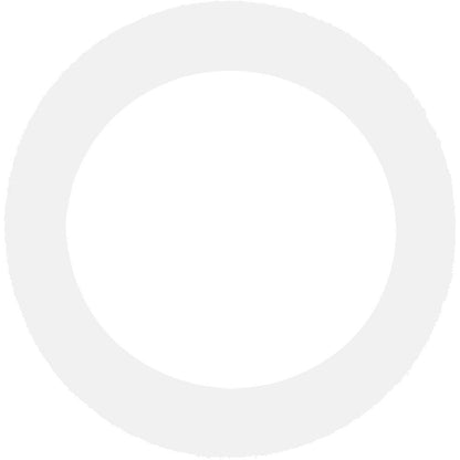 Carlson Pump Foam O-Ring 6"