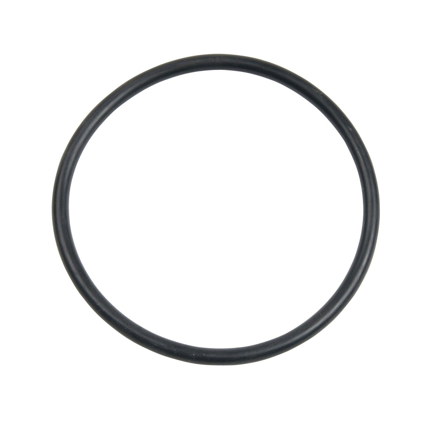 Carlson Pump Rubber O-ring 4"