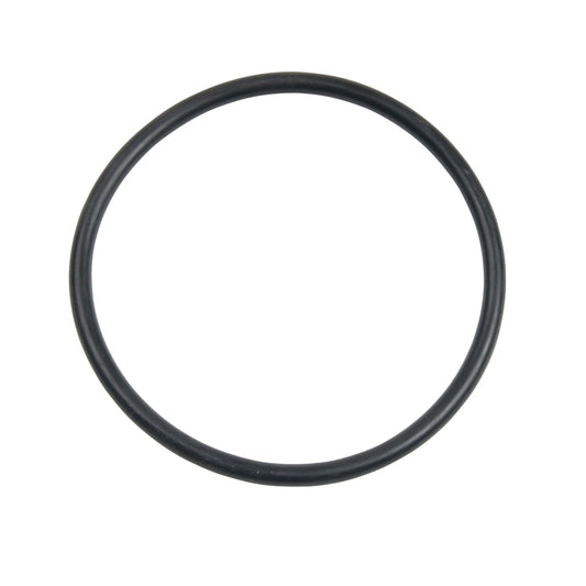 Carlson Pump Rubber O-ring 4"