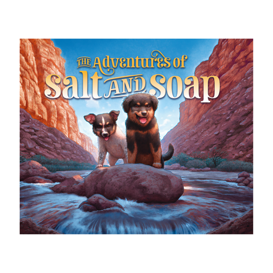 The Adventures of Salt and Soap