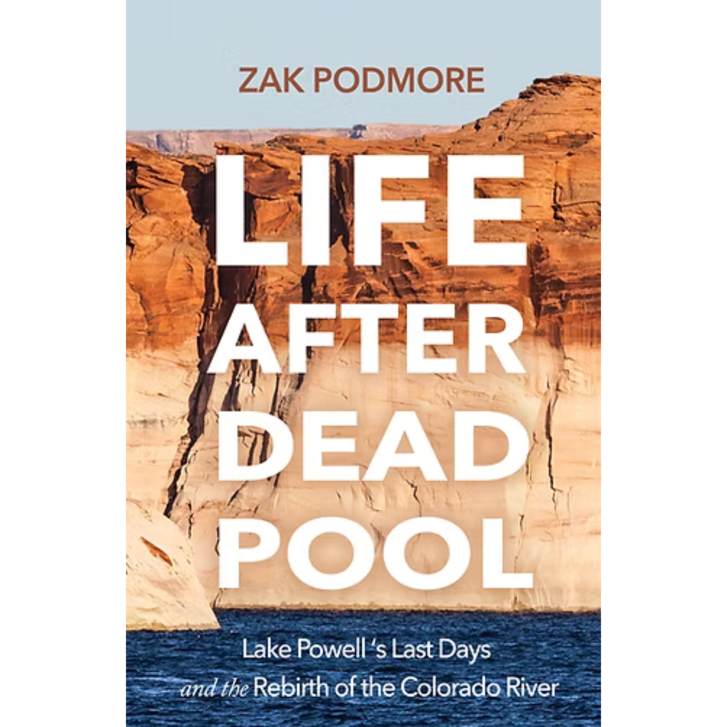 Life After Dead Pool