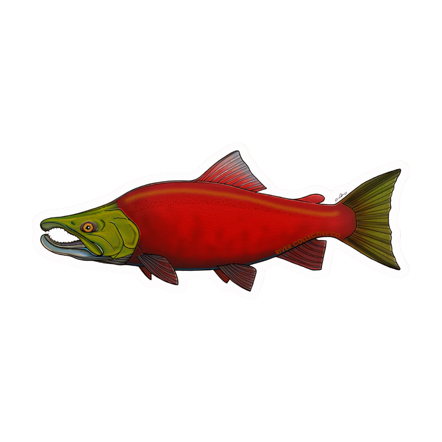 River Collective Fish Stickers
