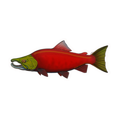 River Collective Fish Stickers